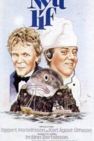 New Life 1983 one on netflix