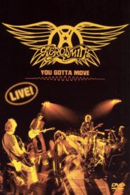 Aerosmith – You Gotta Move 2004 one on netflix