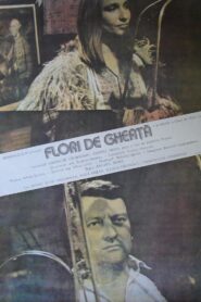 Flori de gheață 1989 one on netflix