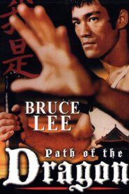 The Path of the Dragon 1998 one on netflix