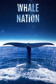 Whale Nation 2023 one on netflix