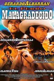 The Ungrateful Bitch 2003 one on netflix