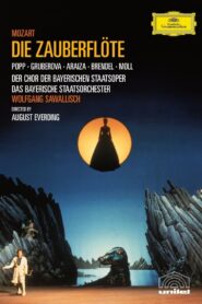 The Magic Flute 1983 one on netflix