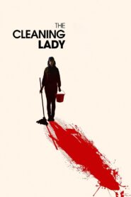 The Cleaning Lady 2018 one on netflix