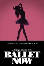Ballet Now 2018 one on netflix