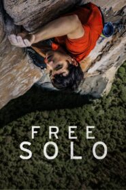 Free Solo 2018 one on netflix