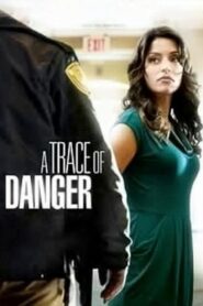 A Trace of Danger 2010 one on netflix