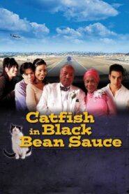 Catfish in Black Bean Sauce 1999 one on netflix