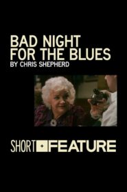 Bad Night for the Blues 2010 one on netflix