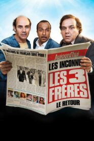 The Three Brothers: The Return 2014 one on netflix