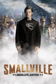 Smallville: Absolute Justice 2010 one on netflix