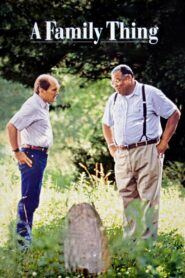 A Family Thing 1996 one on netflix