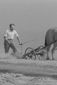 The Independent Peasant 1982 one on netflix