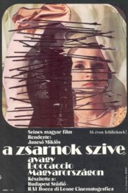 The Tyrant’s Heart, or Boccaccio in Hungary 1981 one on netflix