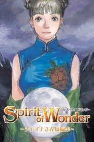 Spirit of Wonder: Miss China Short Stories 2004 one on netflix