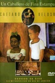 Caetano Veloso – Un Caballero De Fina Estampa 2003 one on netflix