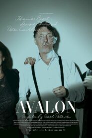 Avalon 2011 one on netflix