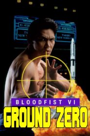 Bloodfist VI: Ground Zero 1995 one on netflix