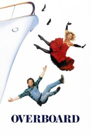 Overboard 1987 one on netflix