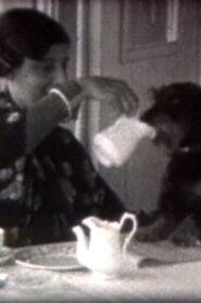 Dusi & Jenõ 1989 one on netflix