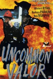 Uncommon Valor 1983 one on netflix