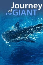 Journey of the Giant 2000 one on netflix