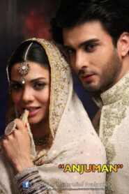 Anjuman 2013 one on netflix