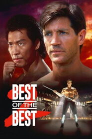 Best of the Best 2 1993 one on netflix