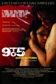 9to5: Days in Porn 2008 one on netflix
