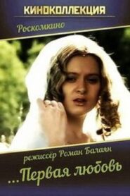 The First Love 1995 one on netflix