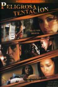 Peligrosa tentación 2008 one on netflix