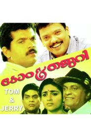 Tom & Jerry 1996 one on netflix