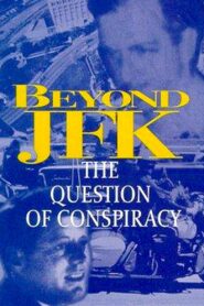 Beyond JFK: The Question of Conspiracy 1993 one on netflix