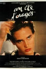 Stormy Summer 1989 one on netflix