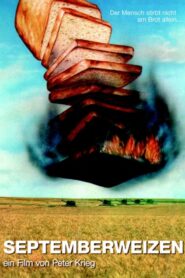 September Wheat 1980 one on netflix