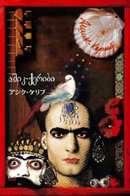 Ashik Kerib 1988 one on netflix
