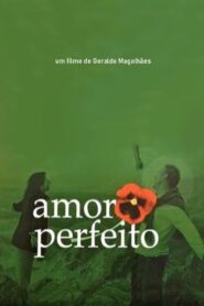 Amor Perfeito 2005 one on netflix