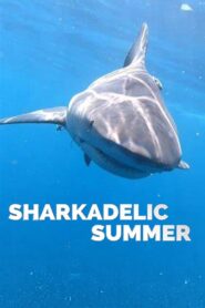 Sharkadelic Summer 2020 one on netflix
