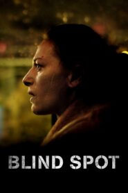 Blind Spot 2018 one on netflix