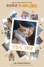 The Journey of the 12 Cats 2019 one on netflix