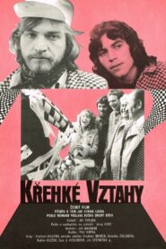 Fragile Relationships 1980 one on netflix