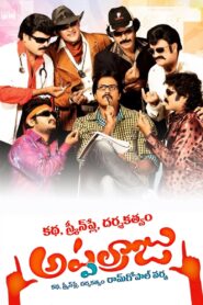 Katha Screenplay Darsakatvam Appalaraju 2011 one on netflix