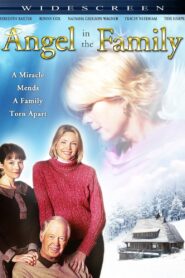 Angel in the Family 2004 one on netflix