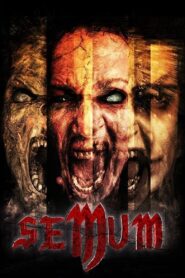 Semum 2008 one on netflix