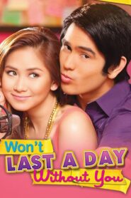 Won’t Last a Day Without You 2011 one on netflix