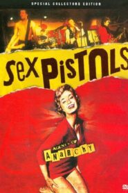 Sex Pistols: Agents of Anarchy 2009 one on netflix