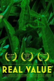 Real Value 2013 one on netflix