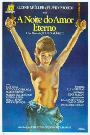 A Noite do Amor Eterno 1983 one on netflix