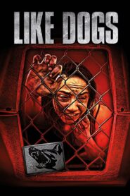 Like Dogs 2021 one on netflix