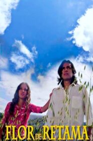 Flor de Retama 2004 one on netflix